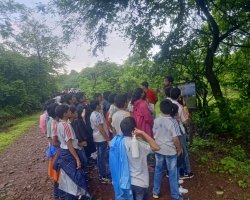 Std VI Field Trip - Sanjay Gandhi national Park